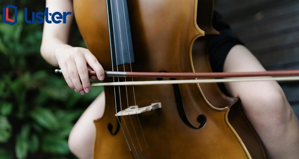 Alat Musik Gesek (Bowed String Instruments)
