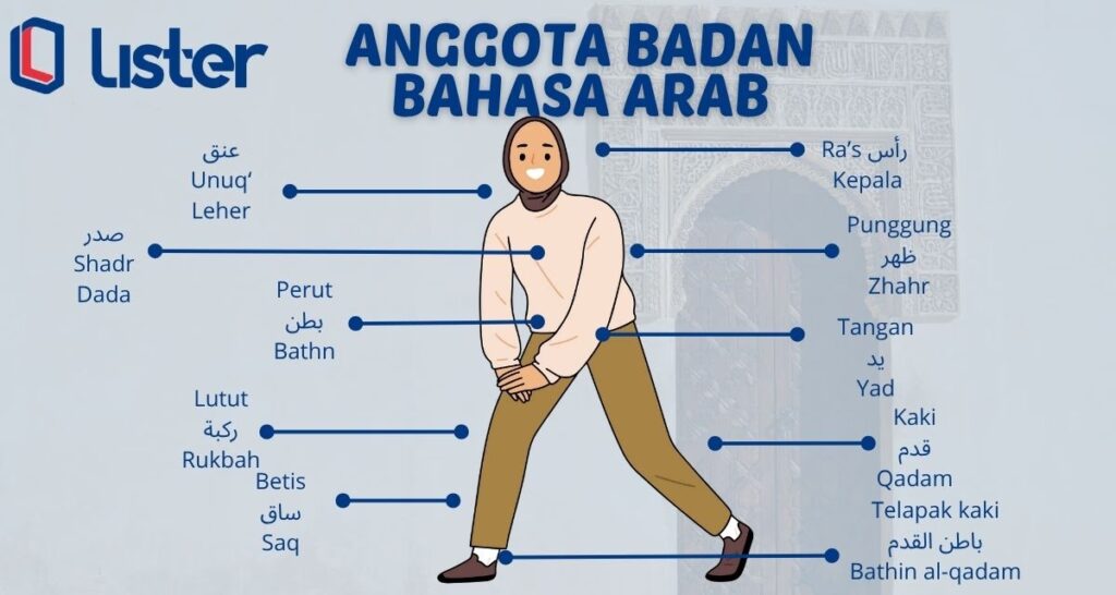 Daftar Anggota Tubuh dalam Bahasa Arab dari Kepala sampai Kaki Daftar Anggota Tubuh dalam Bahasa Arab