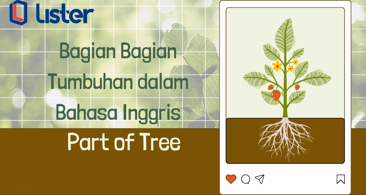 Part of Tree Bagian Pohon dalam Bahasa Inggris