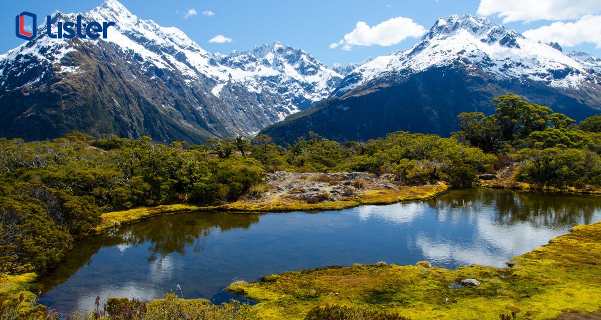 Beasiswa di New Zealand